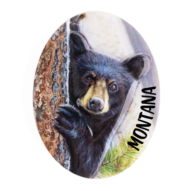 Cliff Rossberg - Black Bear Magnet