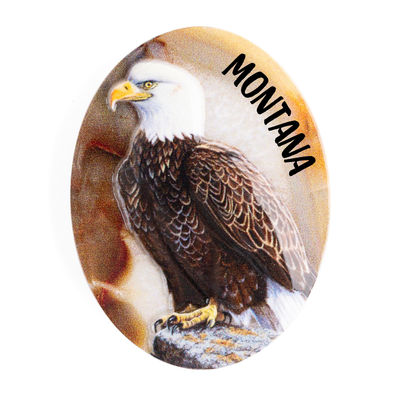 Cliff Rossberg - Eagle Magnet