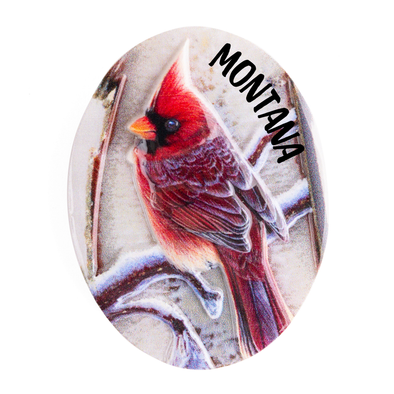 Cliff Rossberg - Cardinal Magnet