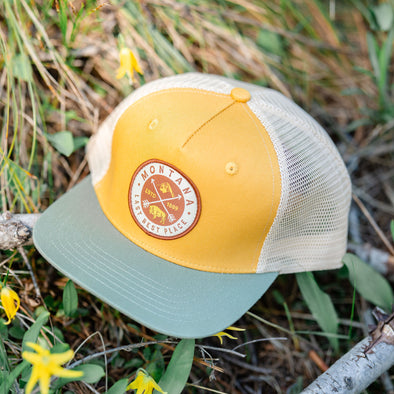 Last Best Place Snapback in Sage/Ginger/Natural